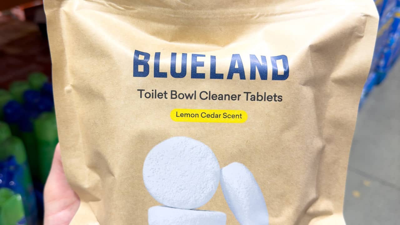 <p>Blueland, founded by Sarah Paiji Yoo and Justin Yeung, is a cleaning solution company that succeeded on Shark Tank.</p><p>After securing a $270,000 deal with Kevin O’Leary, Blueland has made more than $15 million in sales.</p>