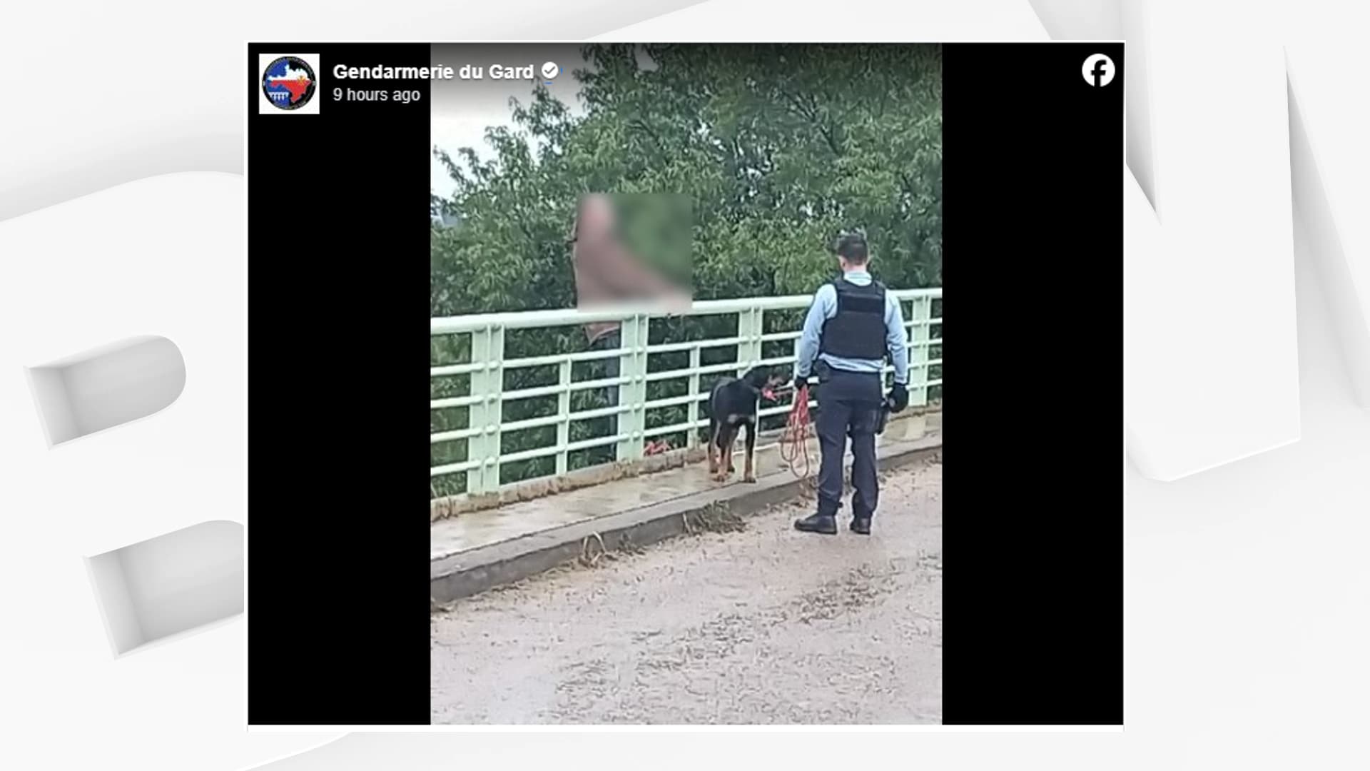 gard: un homme renonce à sauter du haut d'un pont sur l'a9 en voyant son chien