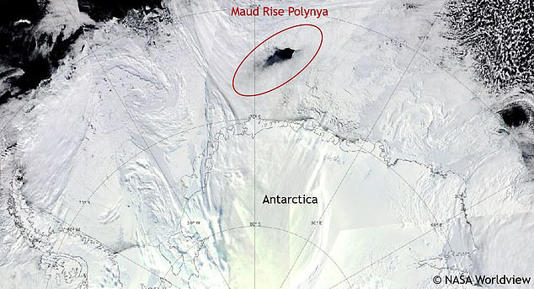 The Maud Rise polynya appeared in the winters of 2016 and 2017 that was nearly twice the size of New Jersey. Pictured: A satellite image of the polynya in 2017