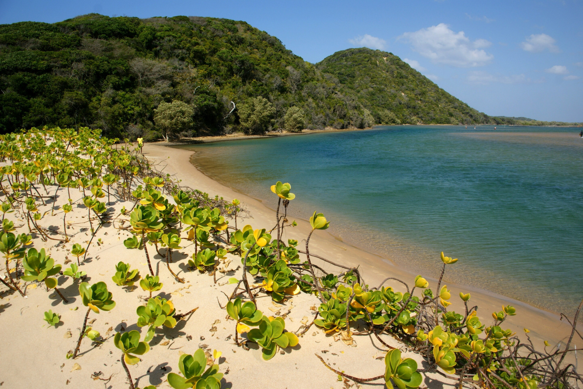 The world's most dangerous beaches