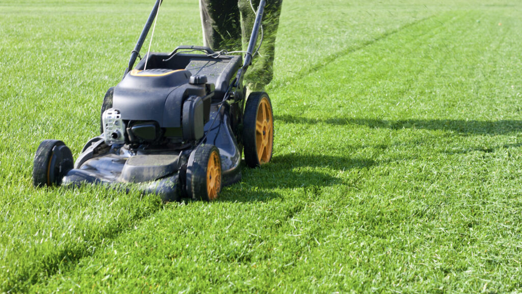 <p>Lawn mowing offers a straightforward way to earn money by helping homeowners maintain their yards.</p><p>Many people either lack the time or the equipment to do this themselves, making it a sought-after service.</p><p>It’s a seasonal job in many places, with demand peaking during the warmer months. Starting is easy – all you need is access to a lawnmower and a willingness to work outdoors.</p>