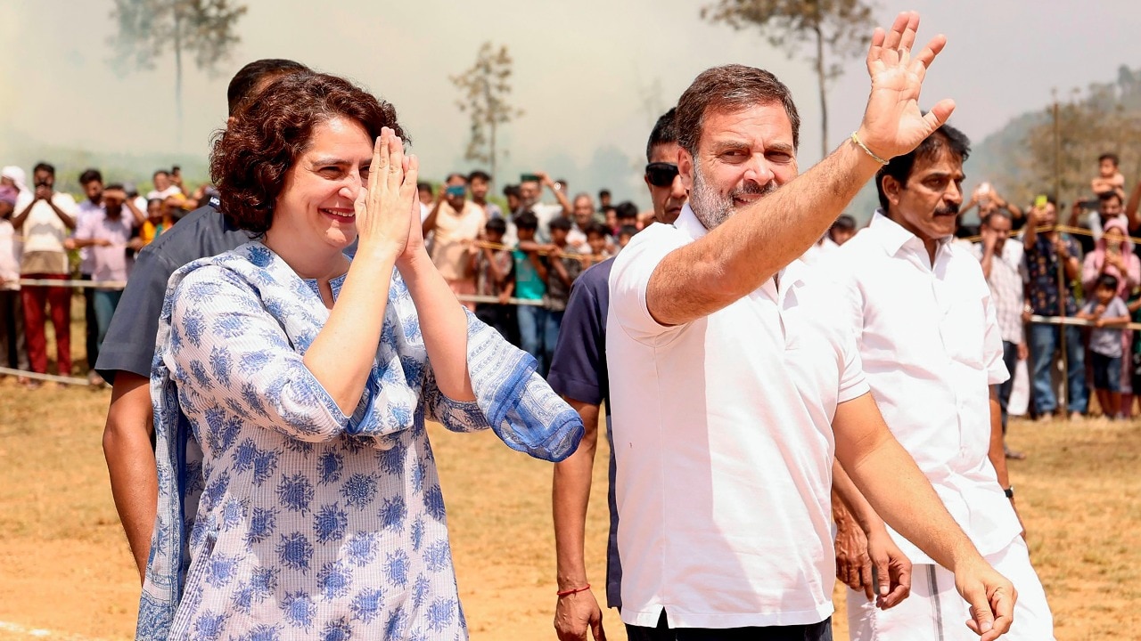 rahul gandhi may contest from raebareli, priyanka's poll debut unlikely: sources