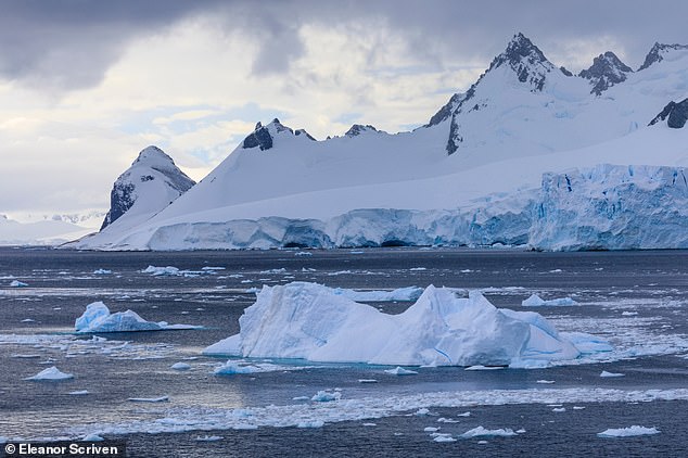 scientists unravel why a giant hole formed in antarctica's sea ice