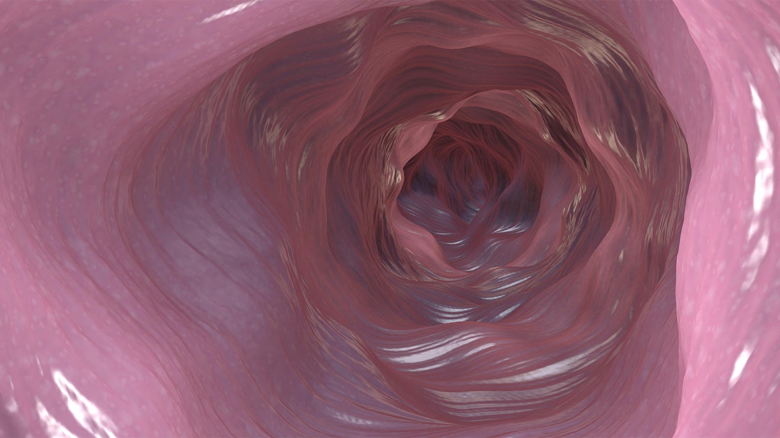 it may be safe to extend time between colonoscopy screenings, study says
