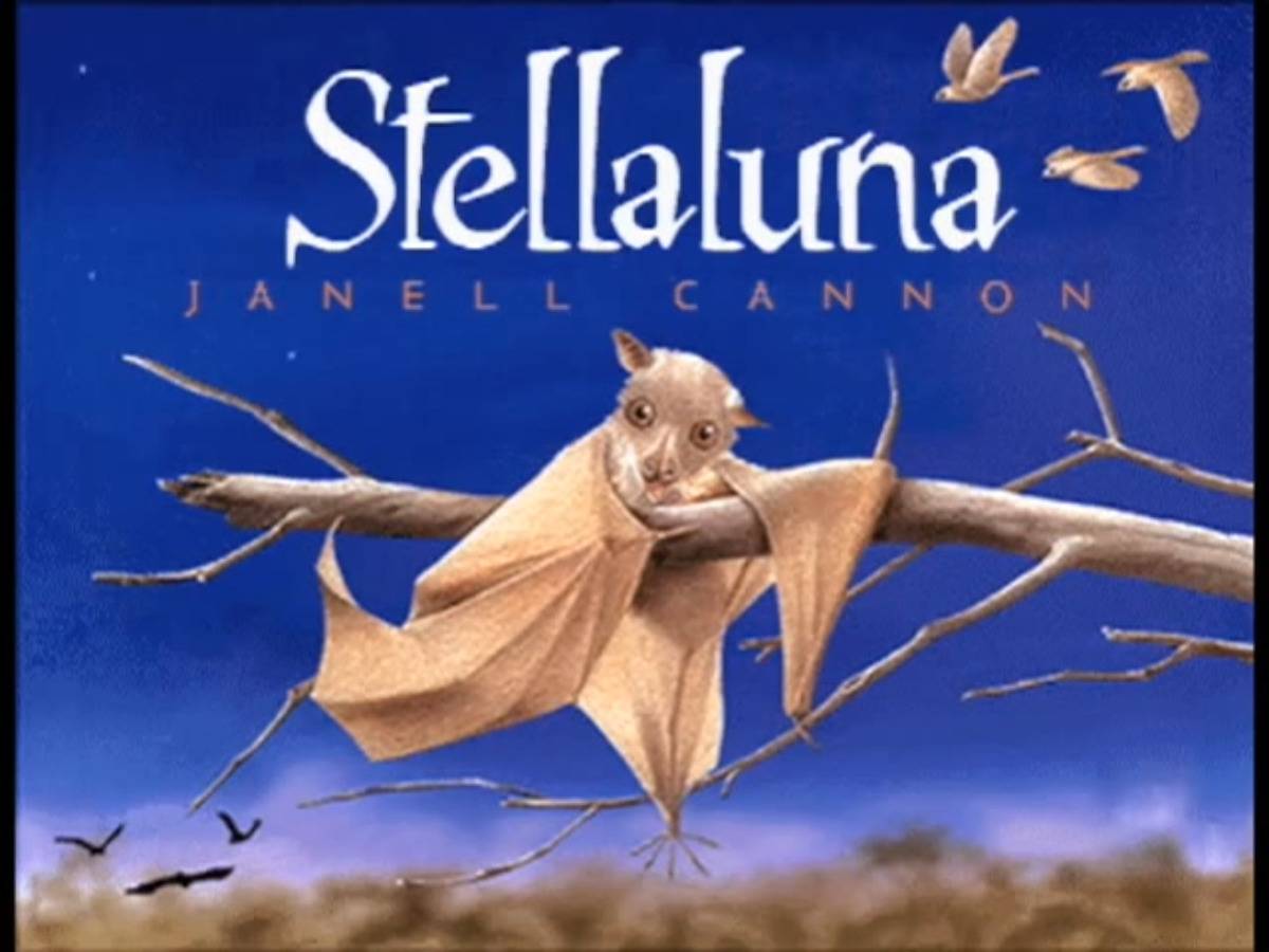 <p>Janell Cannon's story about a tiny fruit bat named Stellaluna is great for children for a few reasons. </p> <p>Firstly, she wanted to highlight the idea that bats aren't scary creatures like most people think. Secondly, she wanted to tell a story about how families may look different from one another but they have more similarities than differences when it comes down to it.</p>