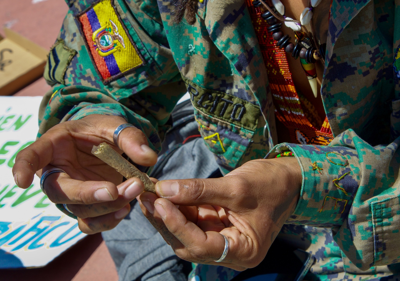 la marcha de la marihuana pide en ecuador legalizar el cultivo y cesar la criminalización