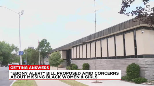 ‘Ebony Alert’ bill proposed amid concerns about missing Black women and girls<br><br>