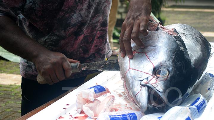 kkp berkomitmen tingkatkan jangkauan pasar tuna indonesia