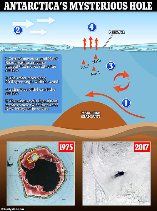 The polynya was caused by a combination of the ocean's water currents, wind and increasing levels of salt in the water that melted the sea ice.