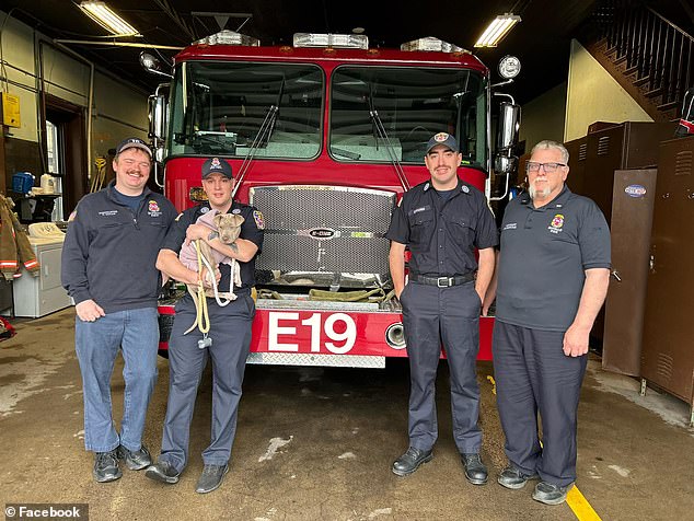 new york firefighter adopts dog he saved after it was hit by a car