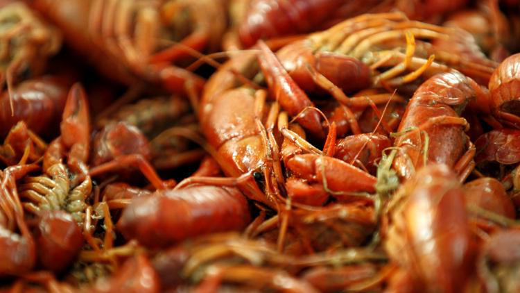 Crawfish, BBQ, and A Flock of Seagulls: What's happening around ...