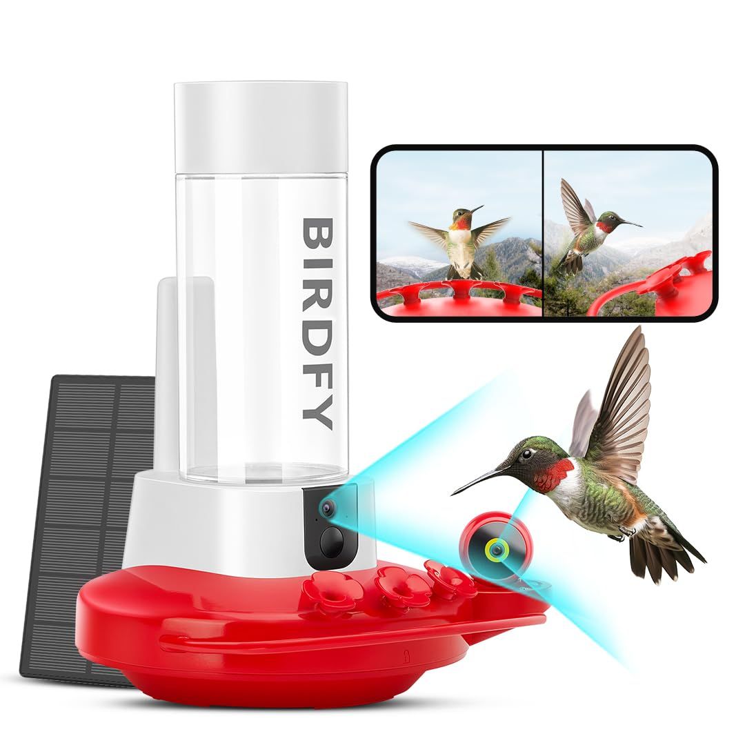 Become an Amateur Ornithologist in Your Own Backyard With These Smart ...