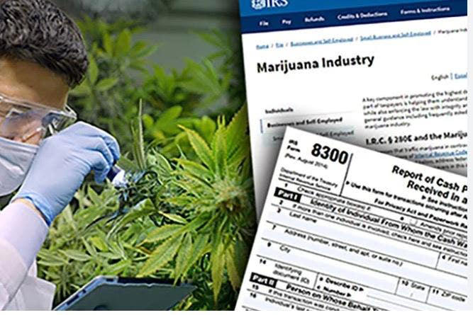 New Tax Rules In Cannabis: What Are The Consequences DEA Rescheduling?