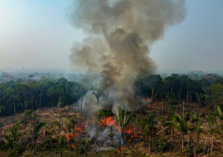 amazon, brasil registra recorde de incêndios florestais entre janeiro e abril