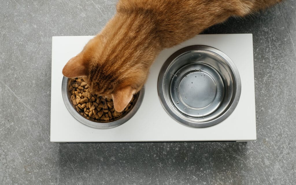 <p>As humans, we can detect the taste of plastic and metal cups when drinking water. The same goes for cats. Try using a glass or ceramic bowl instead.</p> <p>The shape of the bowl matters as well. Cats prefer bowls that are shallow and wide. This allows them to keep watch on their surroundings while drinking, as well as keeps their whiskers from touching the sides of the bowl.</p>