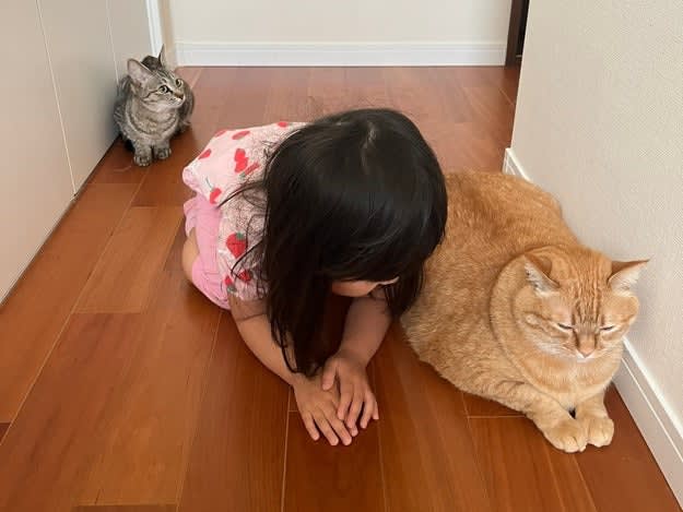 4歳の娘が猫のモノマネを披露！ 横並びになって“スフィンクス座り”をする姿が「かわいすぎる～」と2万いいね