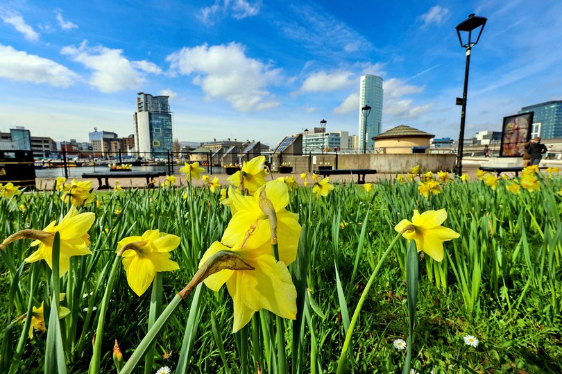 Northern Ireland Records Warmest Day Of 2024 So Far With Highest ...