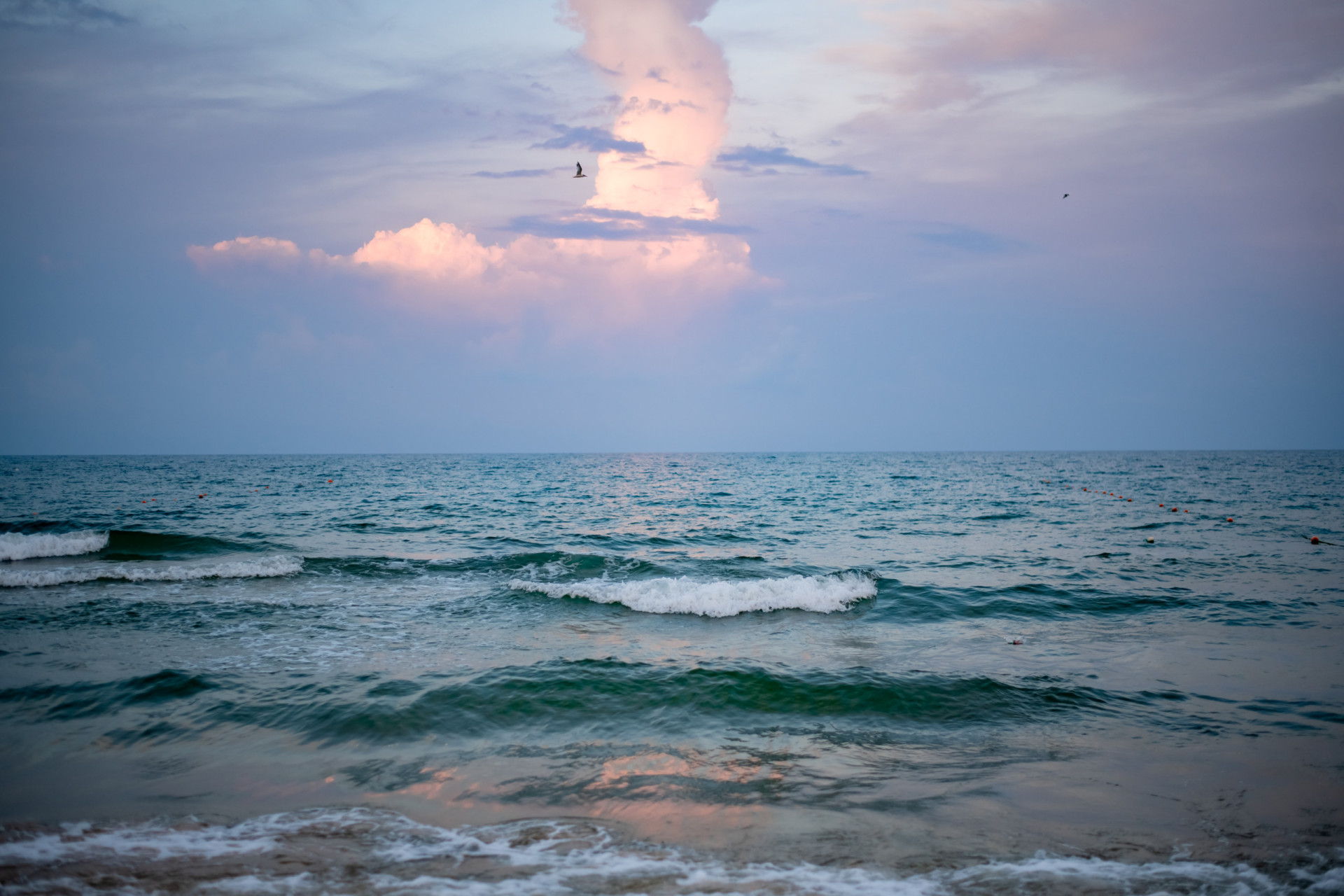 Het geeft een kijkje in de geschiedenis
