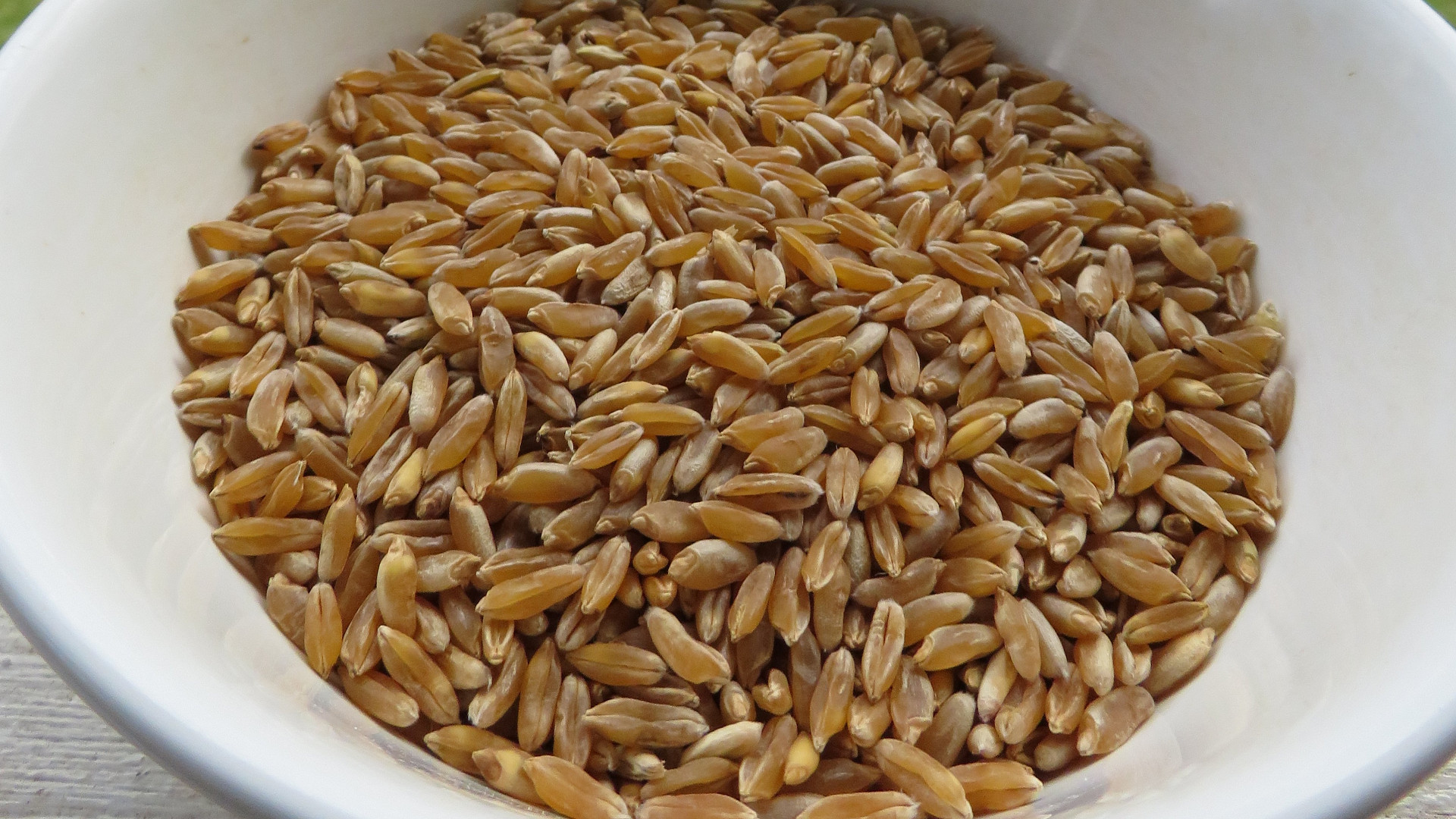 jak využít jednozrnku? prastarý druh pšenice má měkká a lehce křupavá zrna, nahradí rýži v rizotu i těstoviny v polévce