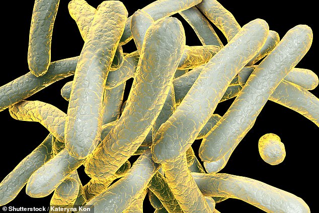 tuberculosis outbreak: public health emergency declared in california