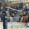 Four CIF North Coast Section 2024 boys volleyball champions crowned: Foothill wins fifth title, first in 14 years<br>