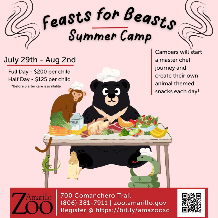 Amarillo Zoo opens registration for summer camp programs