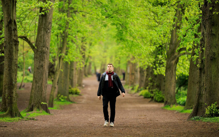 Jack Rear passes through the woods near Kenwood House as he begins his slow commute to the Telegraph office from his home in Highgate - Jamie Lorriman