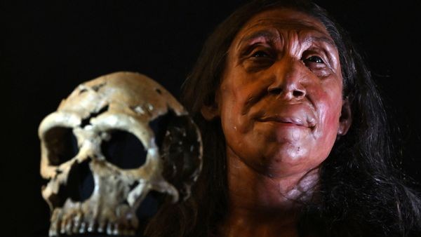 75.000 jahre alt: gesicht von neandertalerin rekonstruiert