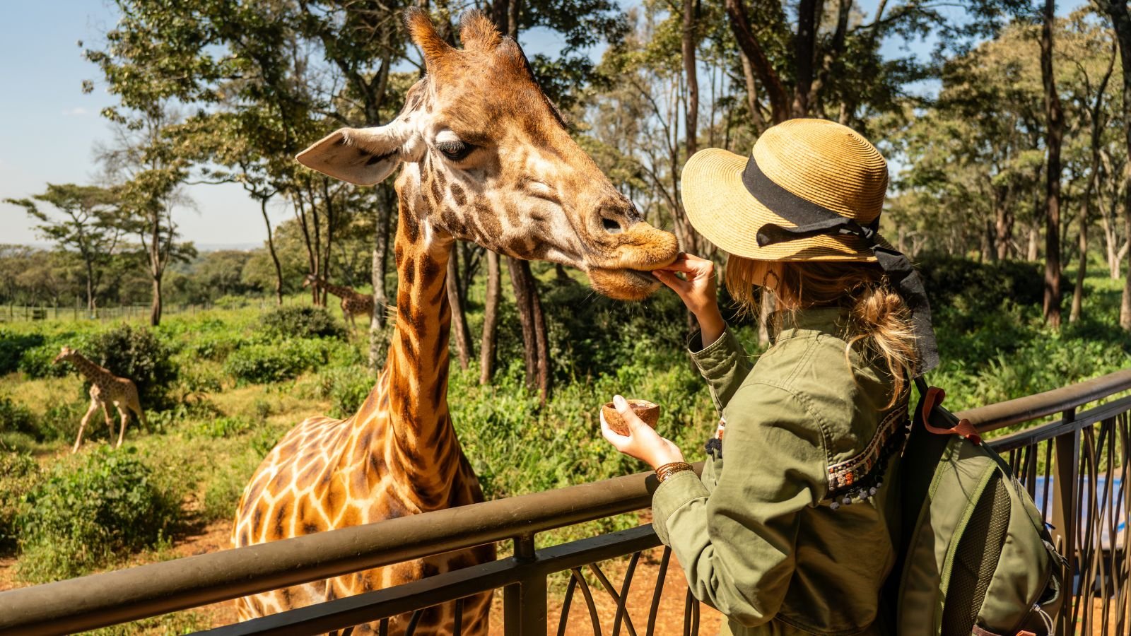 <p><a href="https://www.thesafaricollection.com/properties/giraffe-manor/" rel="noopener">Giraffe Manor</a> in Kenya is ranked seventh on the list of the world’s most photogenic hotels. It has around 119k posts on Instagram with the hashtag #giraffemanor. This boutique hotel is famous for its resident herd of endangered Rothschild giraffes. Guests at Giraffe Manor have a unique chance to learn about this rare giraffe species. Moreover, they can even snap photos with them. It’s not just a place to stay; it’s a chance for the guests to get close to some of nature’s most majestic creatures.</p>