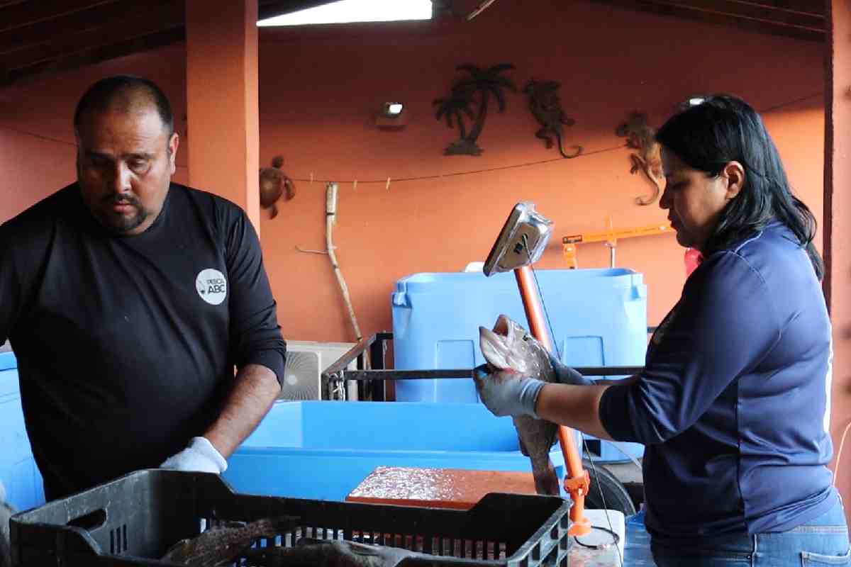 “¿qué haces con 7 mil 500 pesos al año?”: el programa bienpesca de amlo choca con la realidad de las comunidades pesqueras