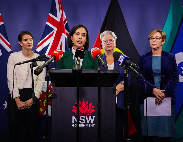 aussie state to unveil emergency domestic violence housing within days