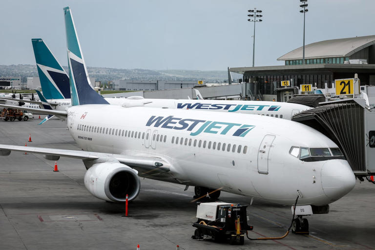 WestJet is suspending its route between St. John's and Hamilton, Ont. route as of July 1. (Jeff McIntosh/The Canadian Press)