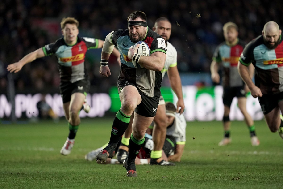 harlequins prepared for another bruising scrum battle against toulouse
