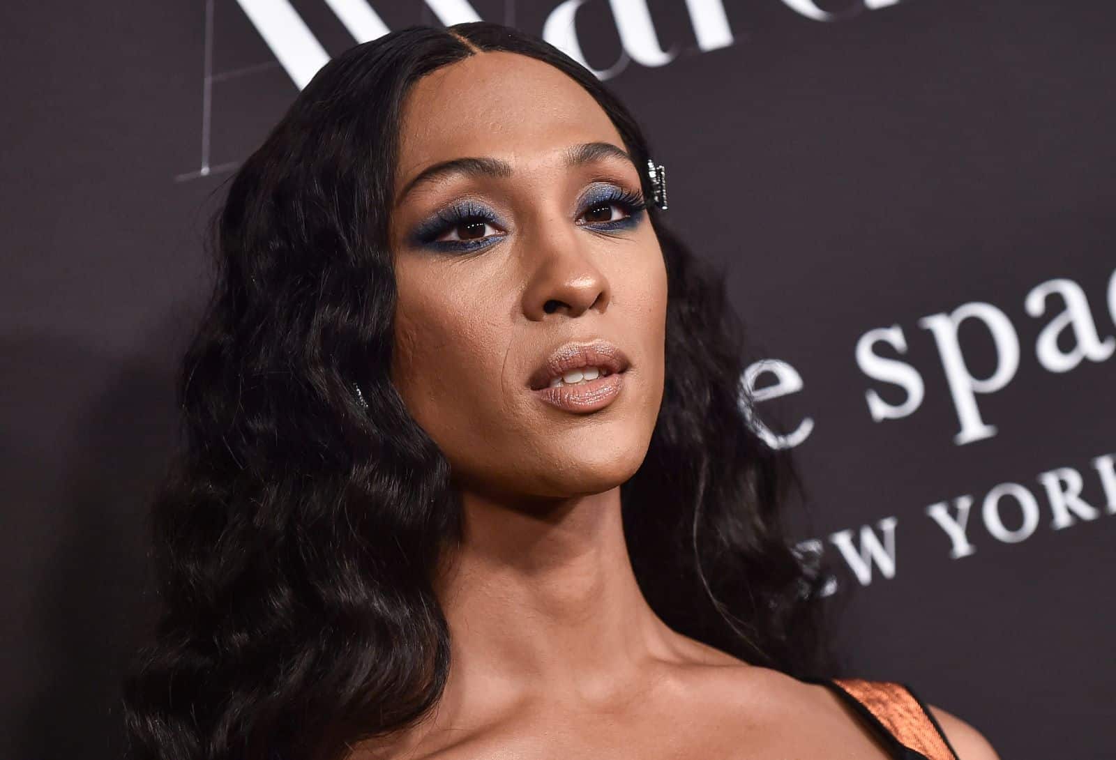 <p class="wp-caption-text">Image Credit: Shutterstock / DFree</p>  <p><span>MJ Rodriguez’s role in “Pose” has been groundbreaking, earning her critical acclaim and a Golden Globe nomination. While Rodriguez has faced discrimination, her success marks a significant step forward for transgender actors of color in leading roles.</span></p>