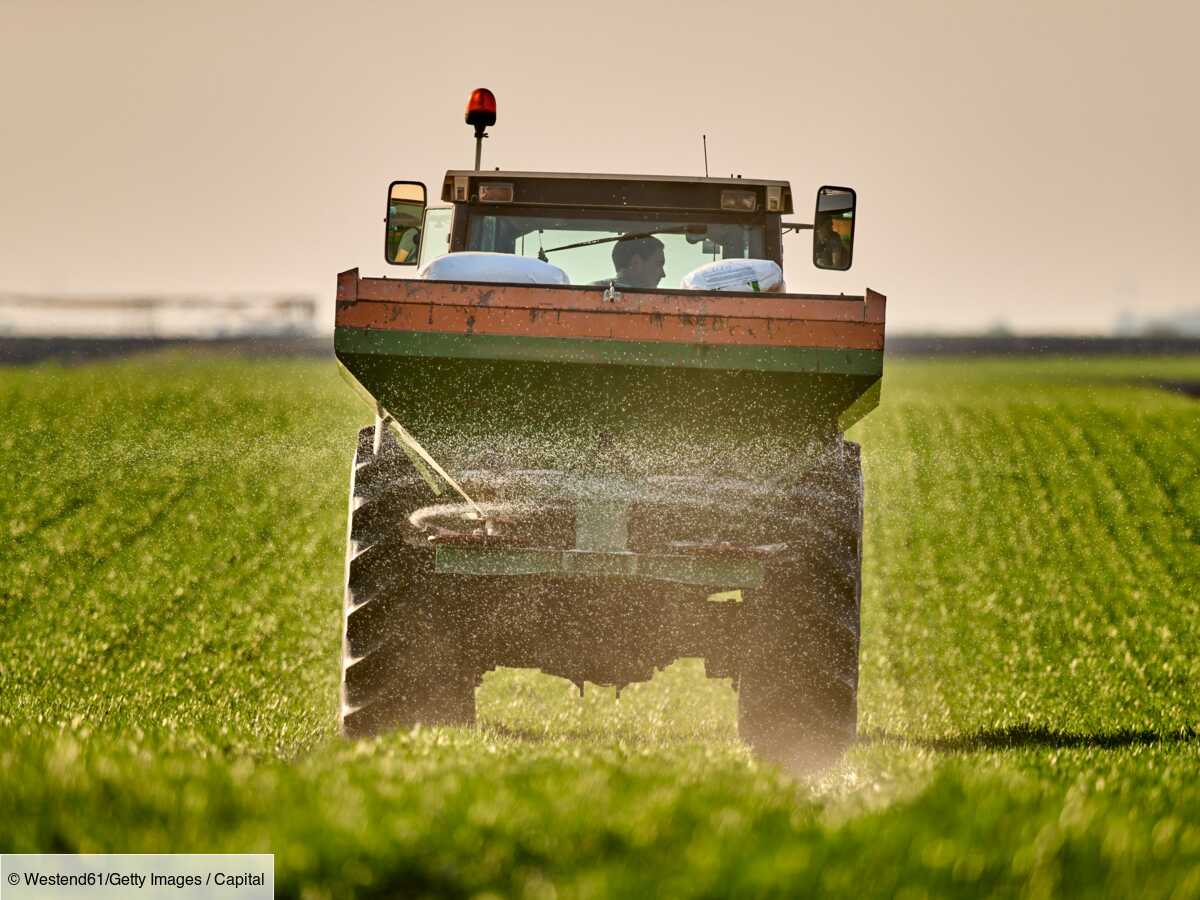 plan ecophyto : le gouvernement relance son offensive contre les pesticides