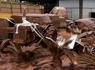 Rains in southern Brazil kill at least 31, more than 70 still missing<br><br>