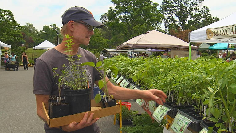 Lewis Ginter Spring Plant sale taking place, today, tomorrow