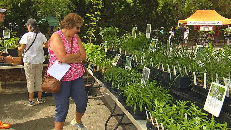 Lewis Ginter Spring Plant sale taking place, today, tomorrow