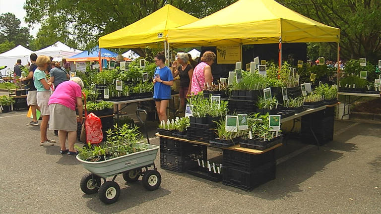 Lewis Ginter Spring Plant sale taking place, today, tomorrow