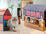 Give your cat the only toy they really want: a cardboard box<br><br>