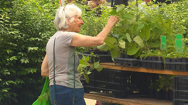 Lewis Ginter Spring Plant sale taking place, today, tomorrow