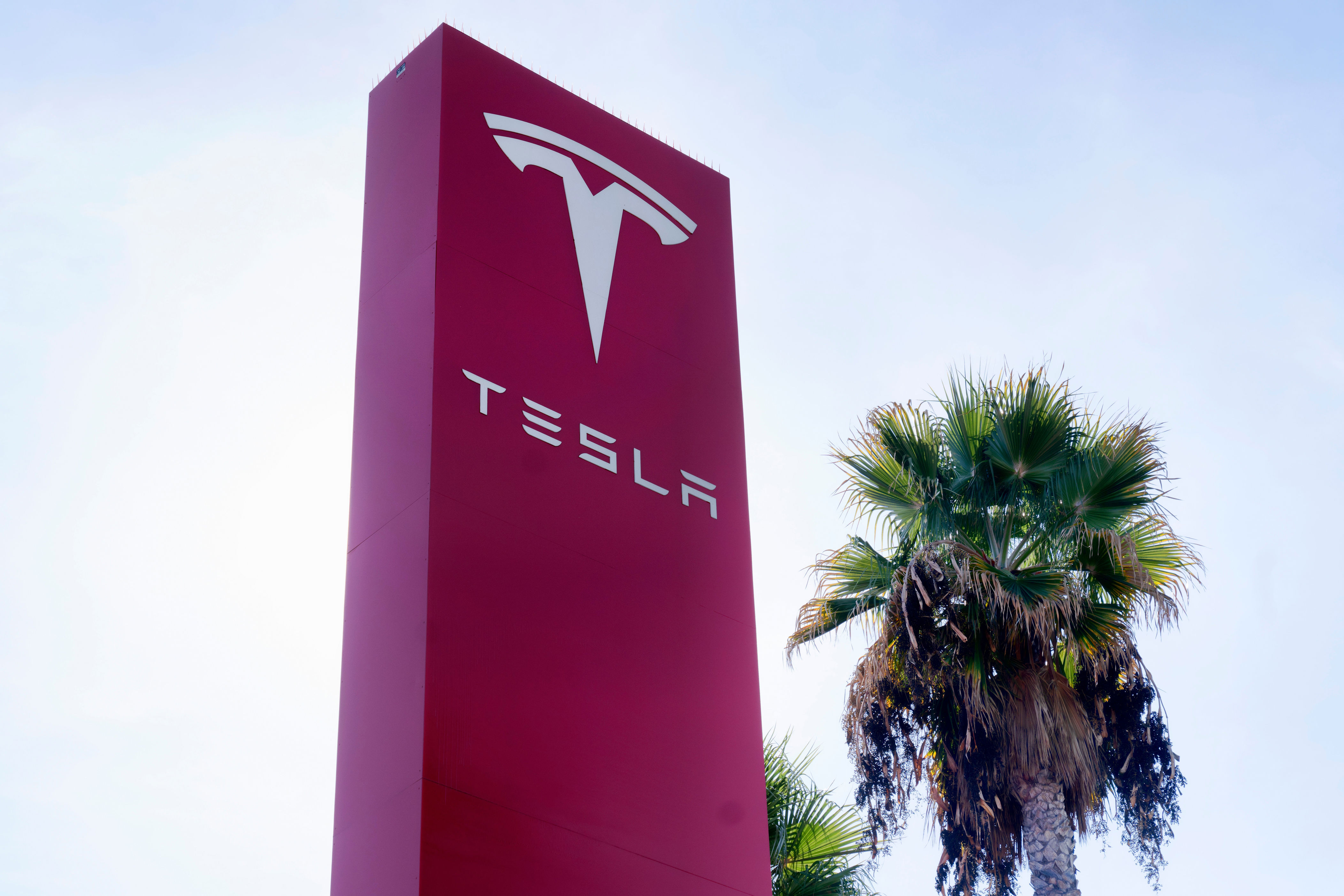 tesla suing indian company for using its name