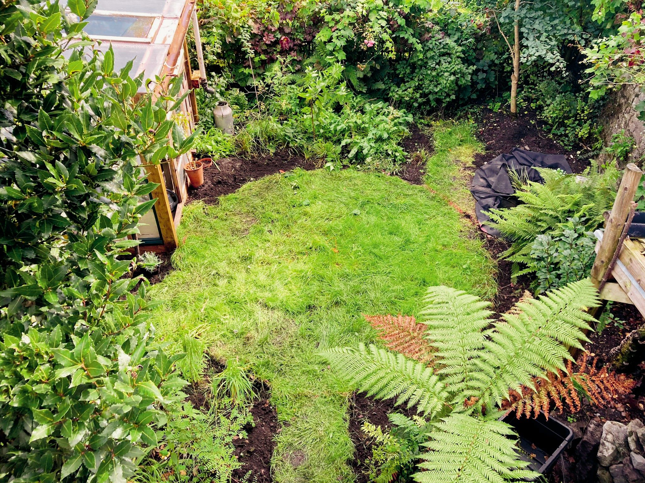 nine things i learnt when building a small garden from scratch