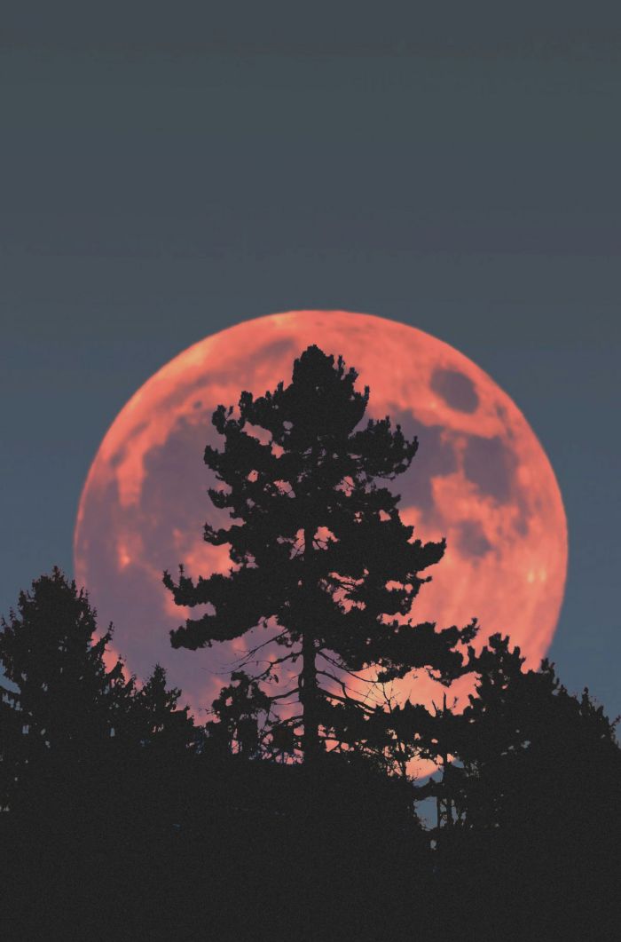 por qué a veces vemos a la luna con un color particular, qué significado tiene cada uno de los colores y cuándo los podemos ver