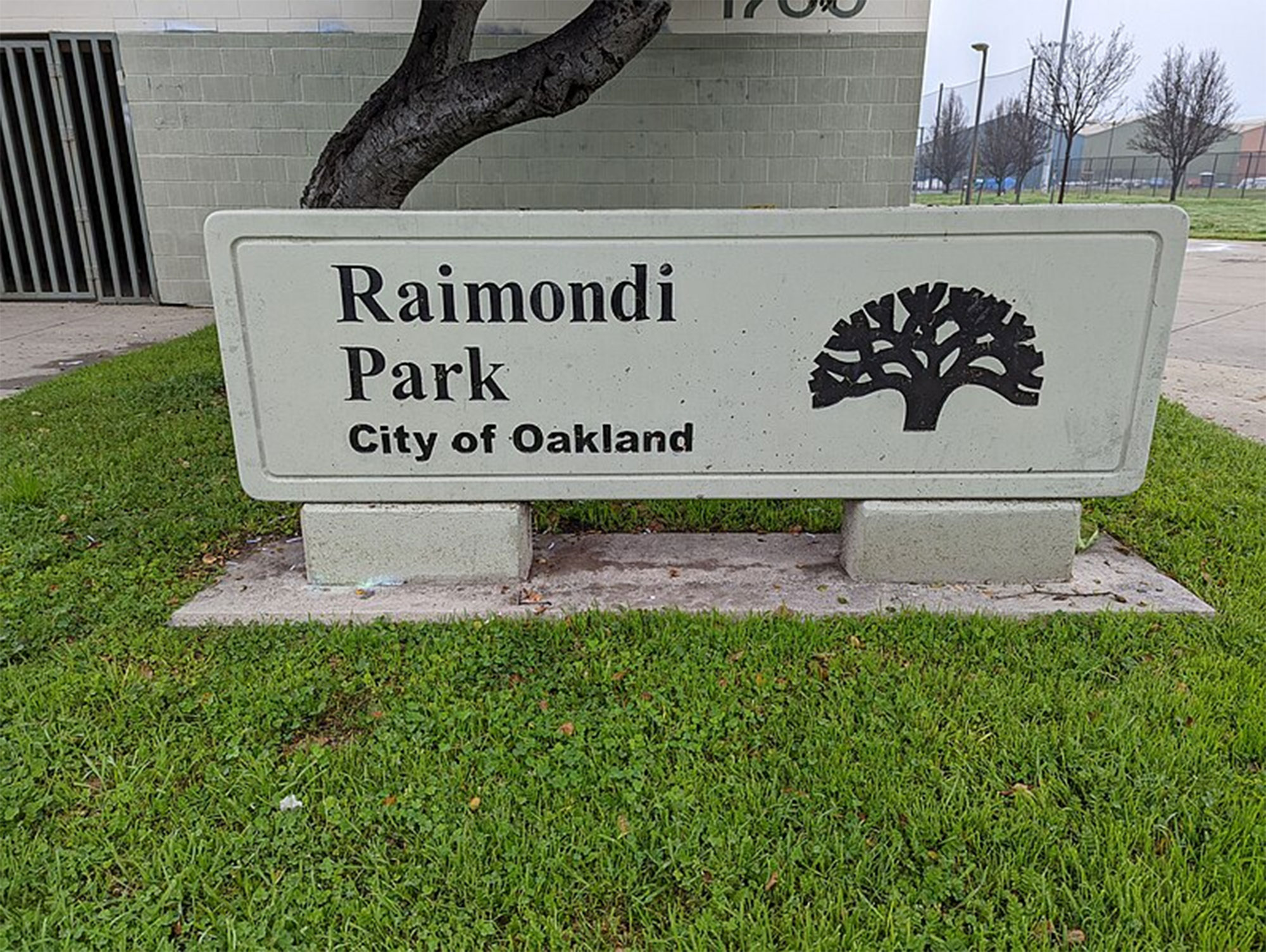 Oakland Ballers Get Raimondi Park Ready For Its Big Debut, Reveal ...