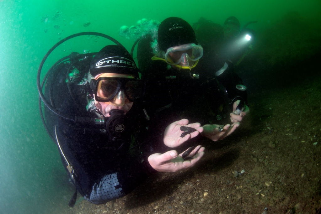 Over the past two decades, archaeologists have made significant discoveries at Bouldnor Cliff. However, the erosion of sediments in the Solent region poses a pressing threat to the preservation of these findings.