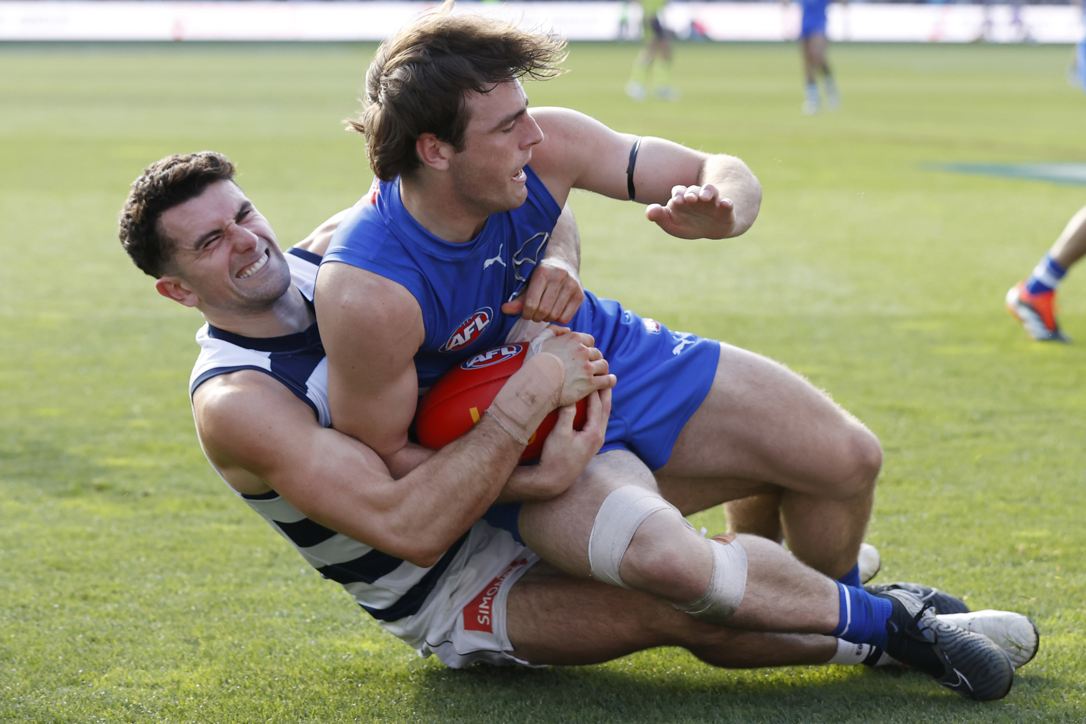 why cats tag should be deemed 'respect' for petracca
