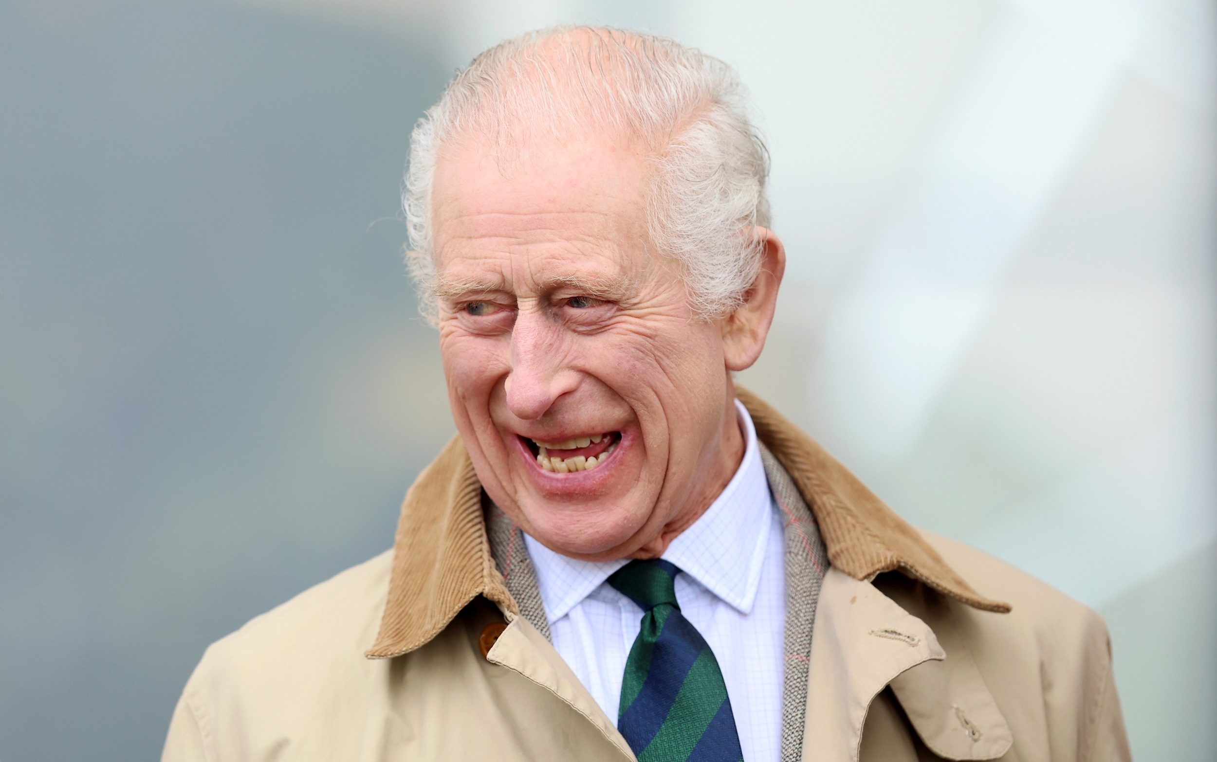king takes on 300 new charity affiliations in major review of royal patronages