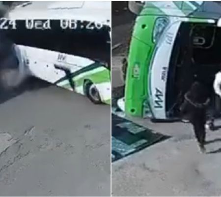 tren embiste un autobús de pasajeros en hidalgo; una persona murió (video)