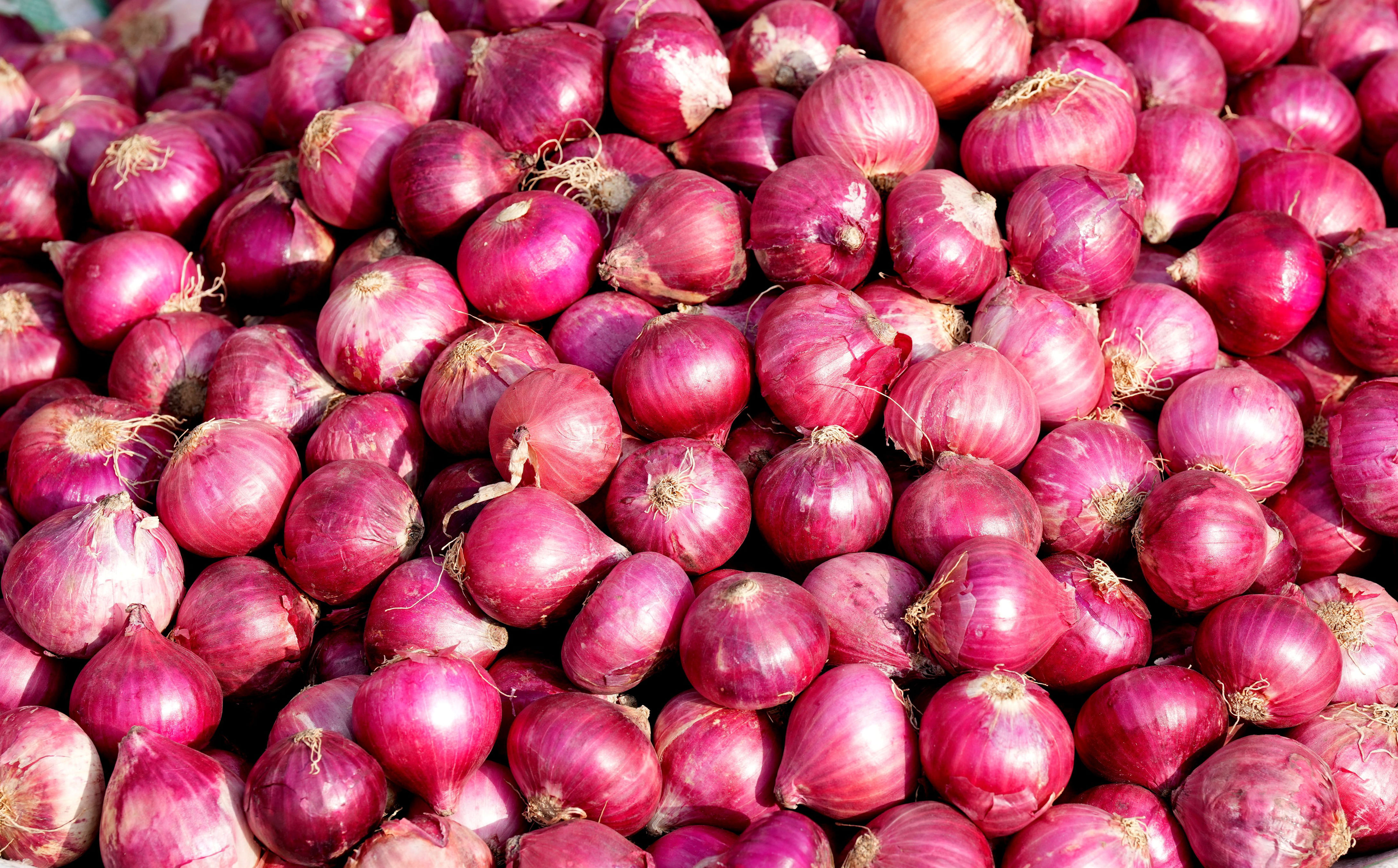 govt lifts ban on onion exports; imposes minimum export price of usd 550/tonne